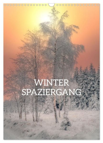 Winter Spaziergang (Wandkalender 2026 DIN A3 hoch), CALVENDO Monatskalender