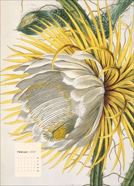 Produktbild: Botanicals Kalender 2027