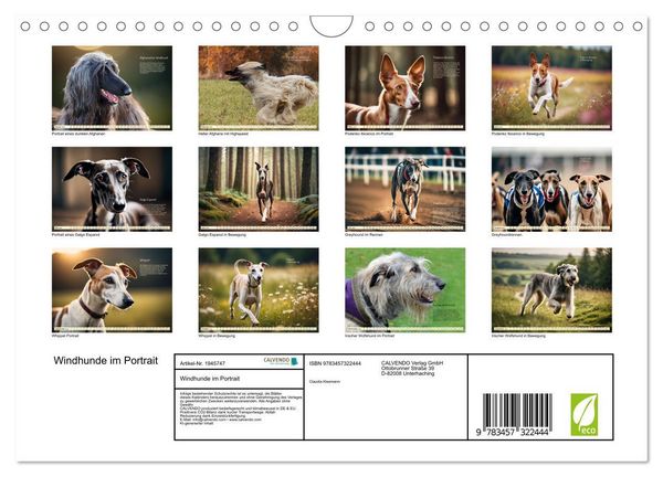 Produktbild: Windhunde im Portrait (Wandkalender 2026 DIN A4 quer), CALVENDO Monatskalender