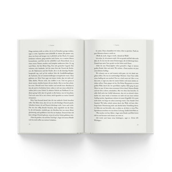 Produktbild: Das Kapitel, das fehlt