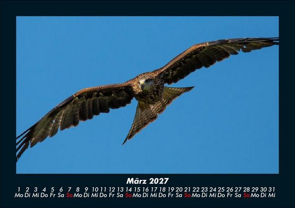 Produktbild: V&ouml;gel 2027 Fotokalender DIN A5