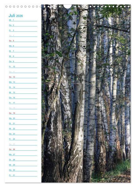 Produktbild: Wunderbarer Spreewald (Wandkalender 2026 DIN A3 hoch), CALVENDO Monatskalender
