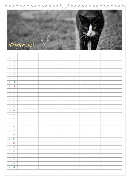 Produktbild: Miezekatzen Planungskalender (Wandkalender 2026 DIN A3 hoch), CALVENDO Monatskalender