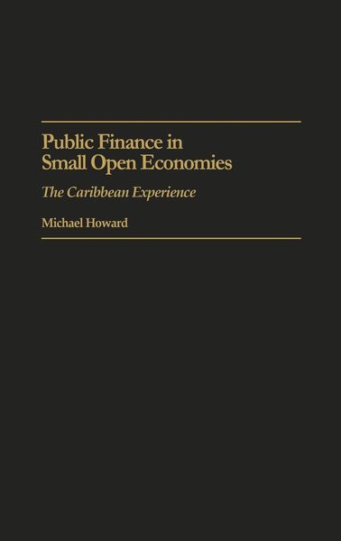 Produktbild: Public Finance in Small Open Economies