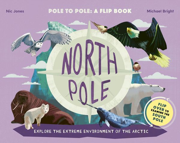 Produktbild: North Pole / South Pole
