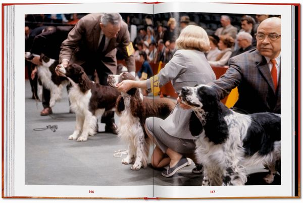 Produktbild: Walter Chandoha. Dogs. Photographs 1941&ndash;1991