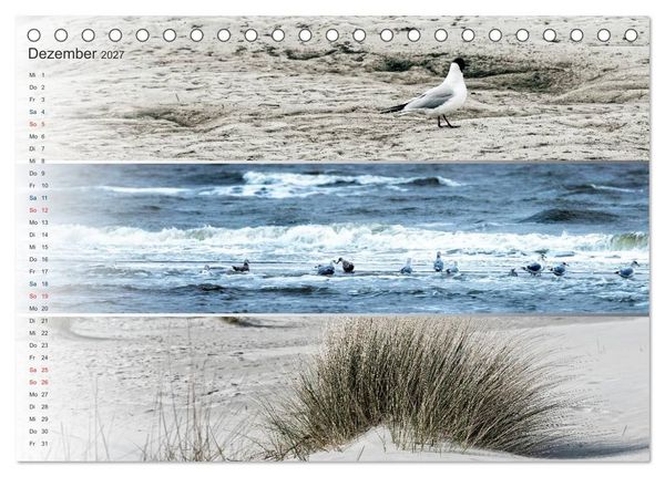 Produktbild: K&uuml;stenstreifen an der Nordsee (Tischkalender 2027 DIN A5 quer), CALVENDO Monatskalender