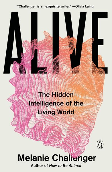 Produktbild: Alive