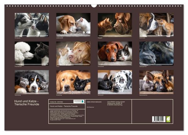 Produktbild: Hund und Katze - Tierische Freunde (Wandkalender 2026 DIN A2 quer), CALVENDO Monatskalender