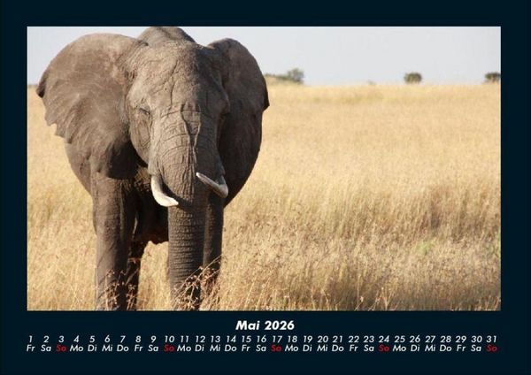 Produktbild: Der Elefantenkalender 2026 Fotokalender DIN A4