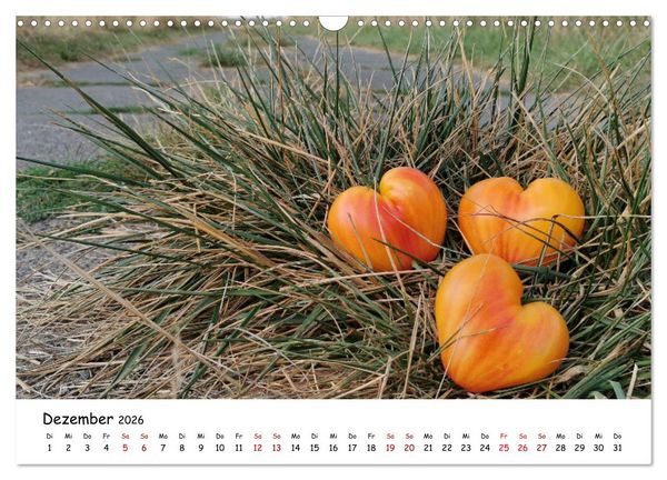 Produktbild: Tomaten Satt (Wandkalender 2026 DIN A3 quer), CALVENDO Monatskalender