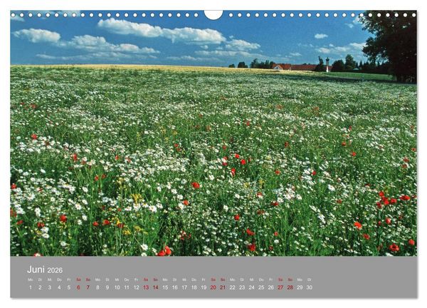 Produktbild: Hallertau (Wandkalender 2026 DIN A3 quer), CALVENDO Monatskalender