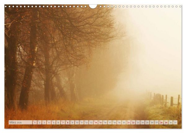 Produktbild: Natur-Paradies Mecklenburgische Schweiz (Wandkalender 2026 DIN A3 quer), CALVENDO Monatskalender