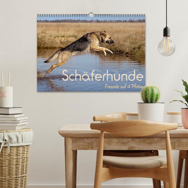 Produktbild: Sch&auml;ferhunde - Freunde auf 4 Pfoten (Wandkalender 2026 DIN A3 quer), CALVENDO Monatskalender