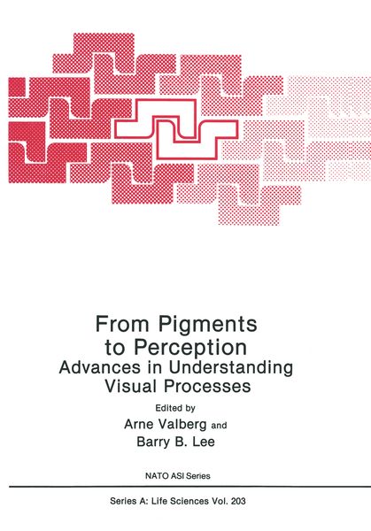 Produktbild: From Pigments to Perception