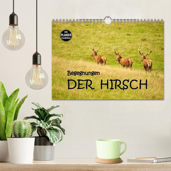 Produktbild: Begegnungen. DER HIRSCH (Wandkalender 2026 DIN A4 quer), CALVENDO Monatskalender