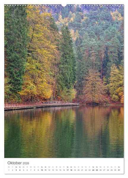 Produktbild: Wald - bezaubernde Landschaften (Wandkalender 2026 DIN A2 hoch), CALVENDO Monatskalender