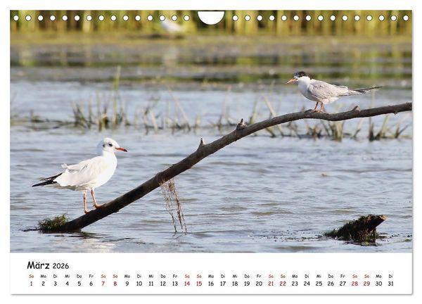 Produktbild: Eine Reise ins magische Donaudelta (Wandkalender 2026 DIN A4 quer), CALVENDO Monatskalender