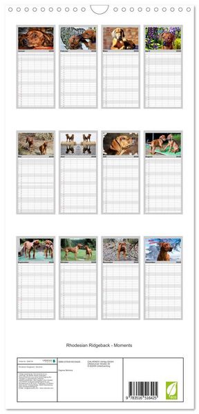 Produktbild: Familienplaner 2026 - Rhodesian Ridgeback - Moments mit 5 Spalten (Wandkalender, 21 x 45 cm) CALVENDO
