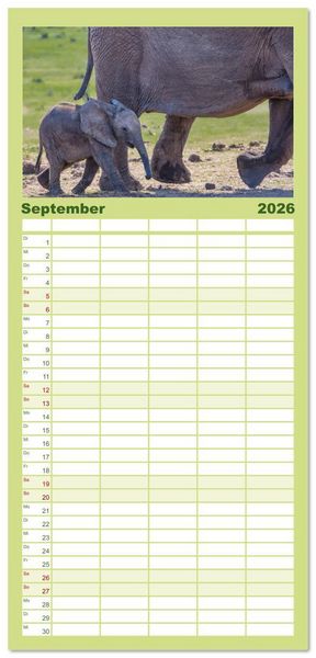 Produktbild: Familienplaner 2026 - Elefanten Begegnungen im &ouml;stlichen und s&uuml;dlichen Afrika mit 5 Spalten (Wandkalender, 21 x 45 cm) CALVENDO