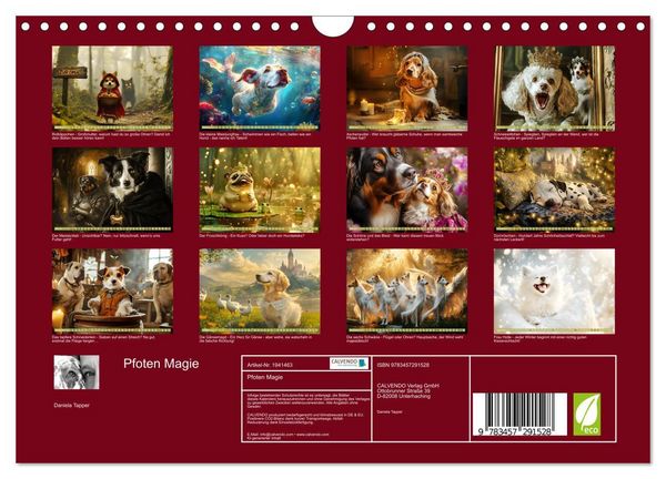 Produktbild: Pfoten Magie (Wandkalender 2026 DIN A4 quer), CALVENDO Monatskalender