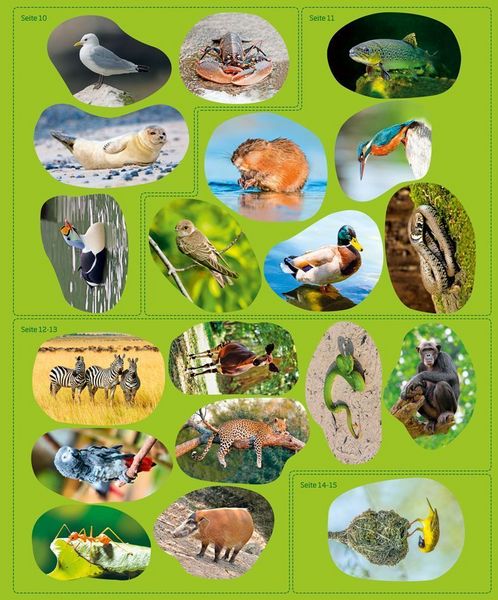 Produktbild: WAS IST WAS Sticker-Atlas Tiere