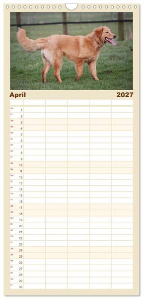 Produktbild: Familienplaner 2027 - Hovawart - nat&uuml;rlich blond mit 5 Spalten (Wandkalender, 21 x 45 cm) CALVENDO