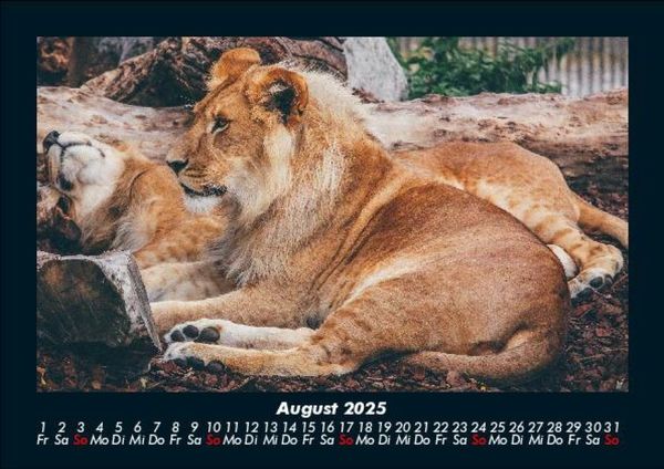 Produktbild: Welt der Tiere 2025 Fotokalender DIN A5
