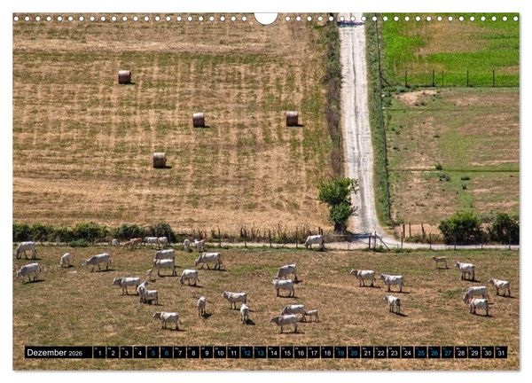 Produktbild: Die Etrusker &ndash; Hochkultur im antiken Italien (Wandkalender 2026 DIN A3 quer), CALVENDO Monatskalender