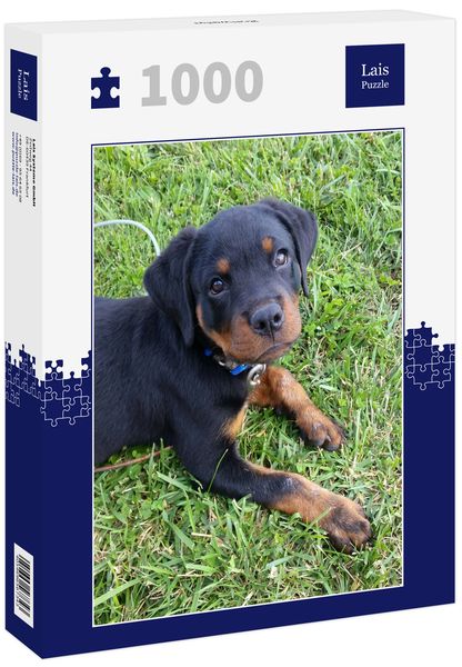 Produktbild: Lais Puzzle Rottweiler 1000 Teile