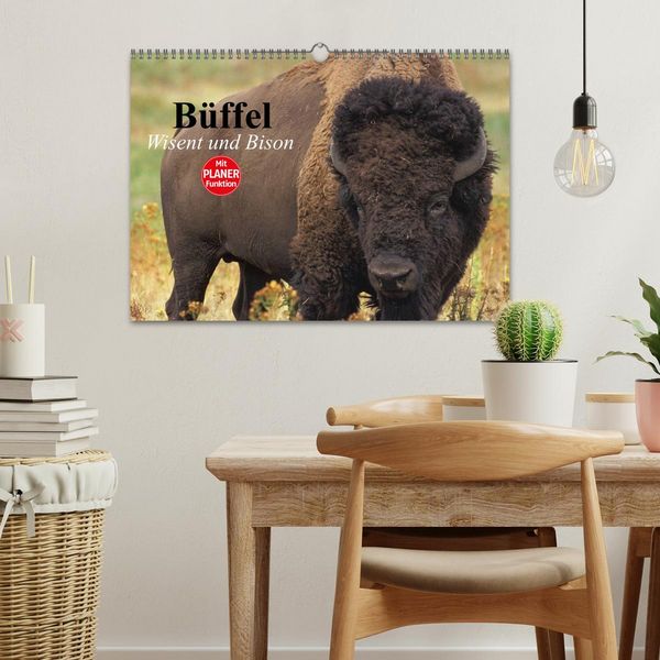 Produktbild: B&uuml;ffel. Wisent und Bison (Wandkalender 2026 DIN A3 quer), CALVENDO Monatskalender