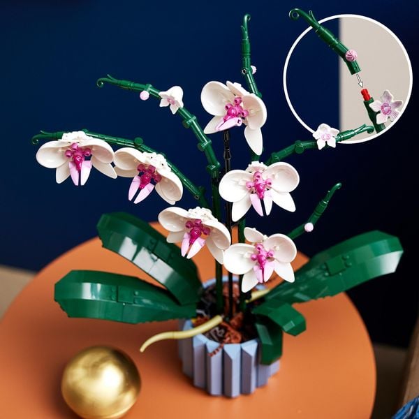 Produktbild: LEGO Botanicals Orchidee Set f&uuml;r Erwachsene - K&uuml;nstliche Pflanzen 10311