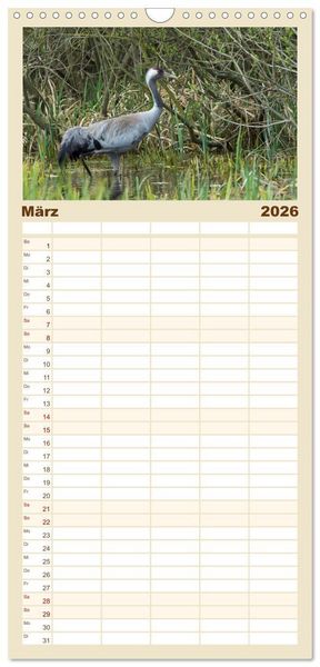 Produktbild: Familienplaner 2026 - Mit Kranichen durch das Jahr mit 5 Spalten (Wandkalender, 21 x 45 cm) CALVENDO