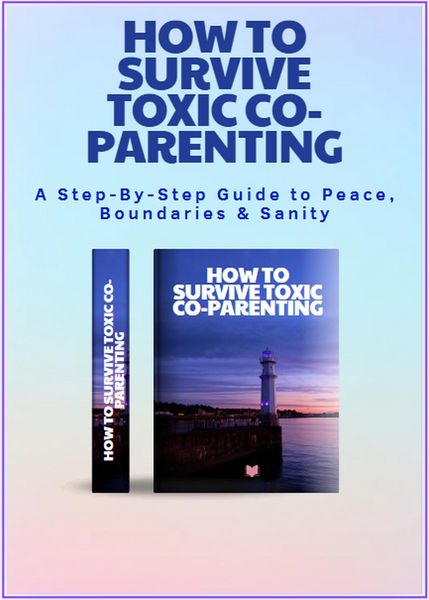 Produktbild: How to survive Toxic Co-parenting