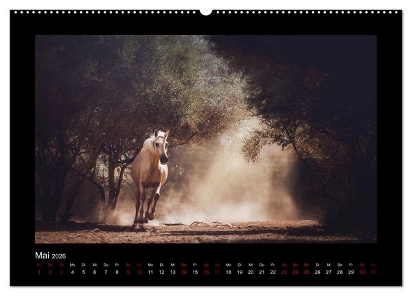 Produktbild: Die Faszinierende Welt der Pferde (hochwertiger Premium Wandkalender 2026 DIN A2 quer), Kunstdruck in Hochglanz