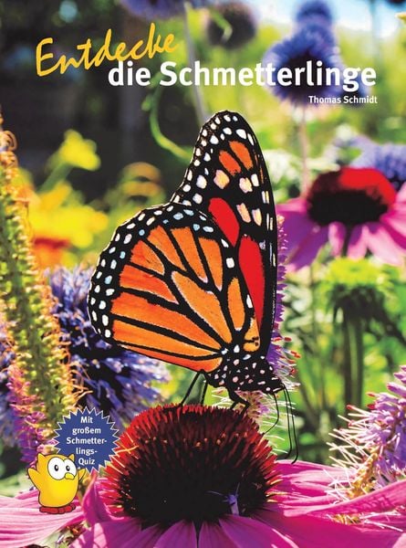 Produktbild: Entdecke die Schmetterlinge