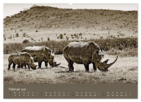 Produktbild: Wildes Afrika (hochwertiger Premium Wandkalender 2026 DIN A2 quer), Kunstdruck in Hochglanz