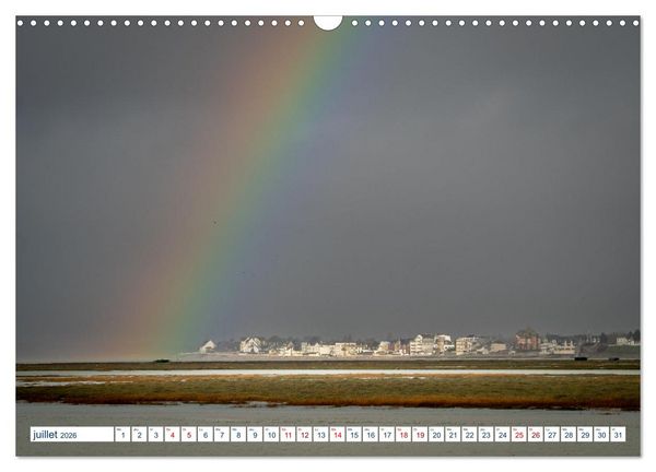Produktbild: La c&ocirc;te picarde Le long des falaises (Calendrier mural 2026 DIN A3 vertical), CALVENDO calendrier mensuel