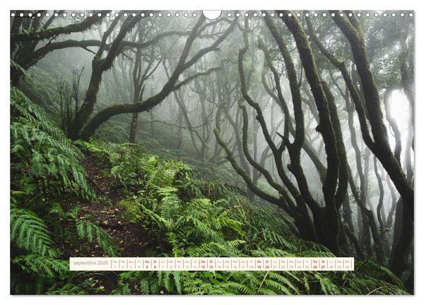 Produktbild: La Magie de T&eacute;n&eacute;riffe (Calendrier mural 2026 DIN A3 vertical), CALVENDO calendrier mensuel