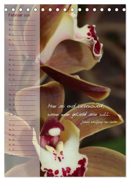 Produktbild: Blumen & Zitate / Geburtstagskalender (Tischkalender 2026 DIN A5 hoch), CALVENDO Monatskalender
