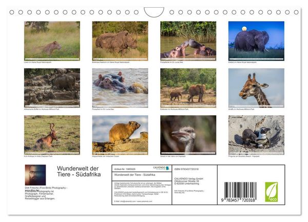 Produktbild: Wunderwelt der Tiere - S&uuml;dafrika (Wandkalender 2026 DIN A4 quer), CALVENDO Monatskalender