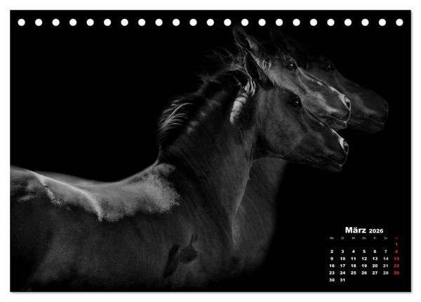 Produktbild: Pferde zwischen Licht und Schatten (Tischkalender 2026 DIN A5 quer), CALVENDO Monatskalender