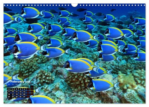 Produktbild: Magical Underwater World (Wall Calendar 2026 DIN A3 landscape), CALVENDO 12 Month Wall Calendar