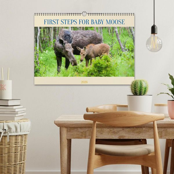 Produktbild: FIRST STEPS FOR BABY MOOSE (Wall Calendar 2026 DIN A3 landscape), CALVENDO 12 Month Wall Calendar