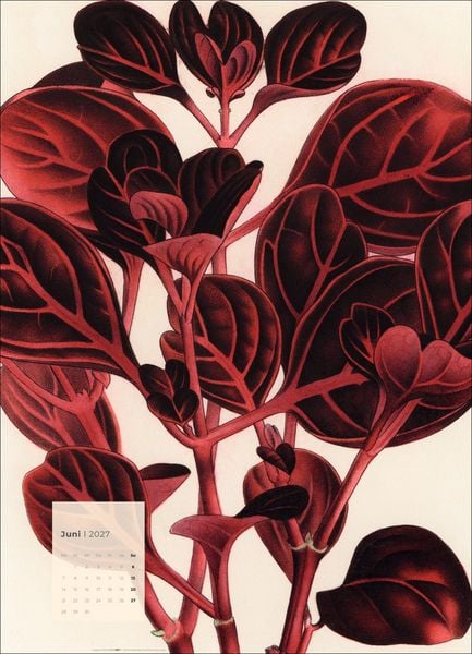 Produktbild: Botanicals Kalender 2027