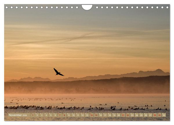 Produktbild: Zauberhafter Westlicher Bodensee (Wandkalender 2026 DIN A4 quer), CALVENDO Monatskalender