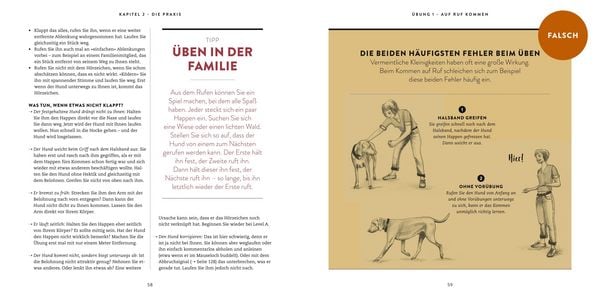 Produktbild: So einfach geht Hundeerziehung