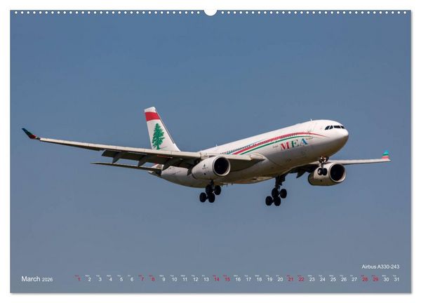 Produktbild: Airliners of the Middle East (High Quality Premium Wall Calendar 2026 DIN A2 landscape),CALVENDO 12 Month Wall Calendar