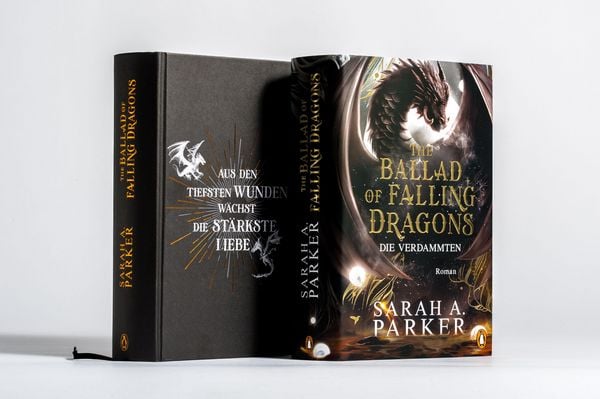 Produktbild: The Ballad of Falling Dragons