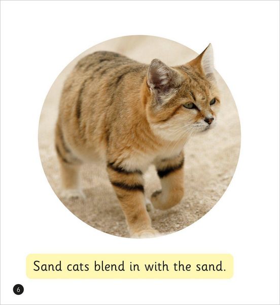 Produktbild: The Desert (Set 7)